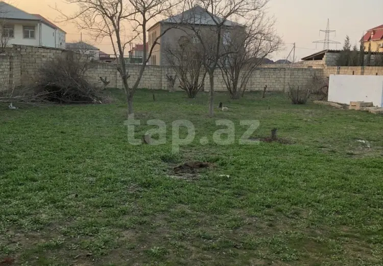 0 m² Obyekt / Ofis , Saray, Abşeron