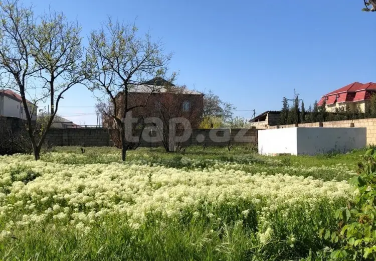 0 m² Obyekt / Ofis , Saray, Abşeron