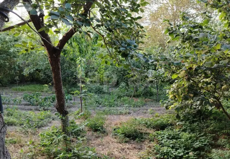 4 otaqlı mənzil , Xaçmaz