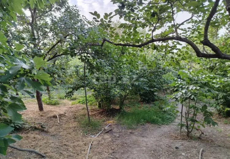 4 otaqlı mənzil , Xaçmaz
