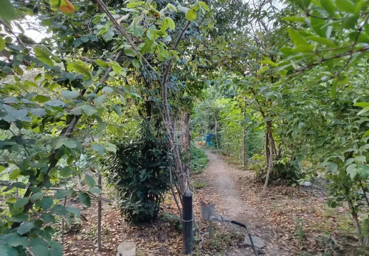 4 otaqlı mənzil , Xaçmaz