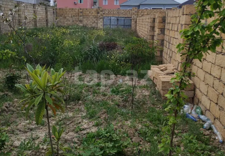 0 m² Obyekt / Ofis , Saray, Abşeron