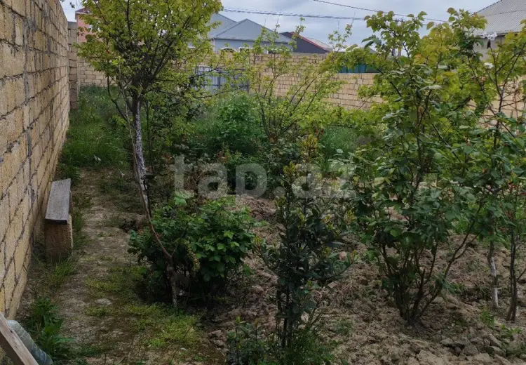 0 m² Obyekt / Ofis , Saray, Abşeron