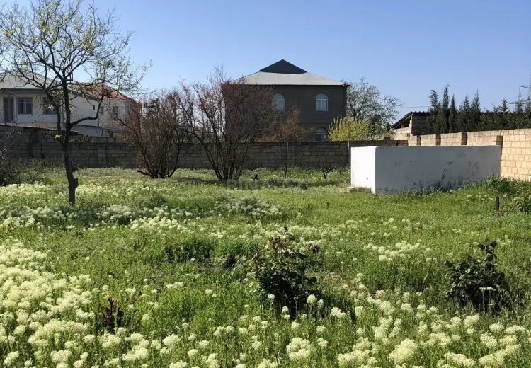 5 sot Torpaq Satılır, Saray, Abşeron