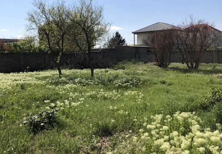 5 sot Torpaq Satılır, Saray, Abşeron