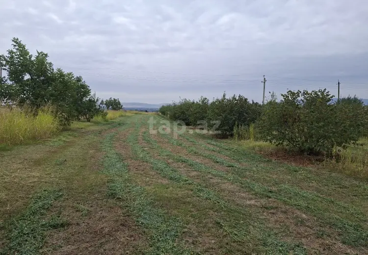 0 m² Obyekt / Ofis , Oğuz
