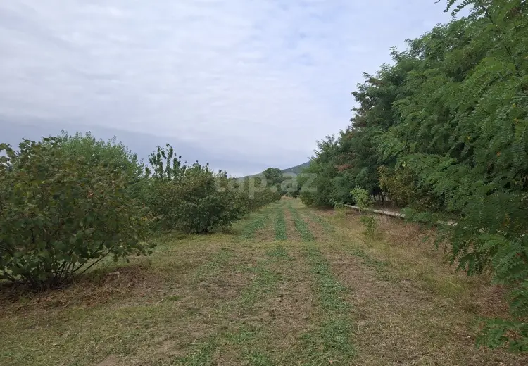 0 m² Obyekt / Ofis , Oğuz