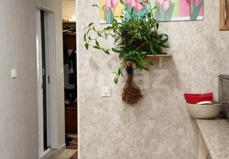 5 otaqlı mənzil , Bakı