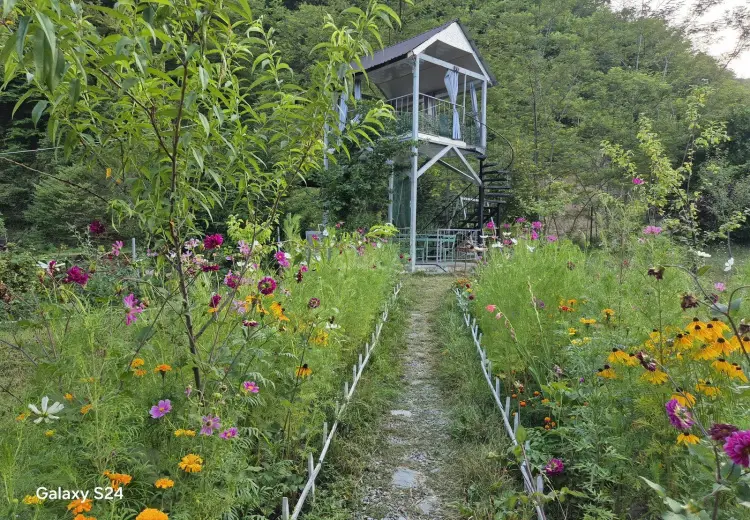 3 otaqlı mənzil Kirayə (günlük), İsmayıllı