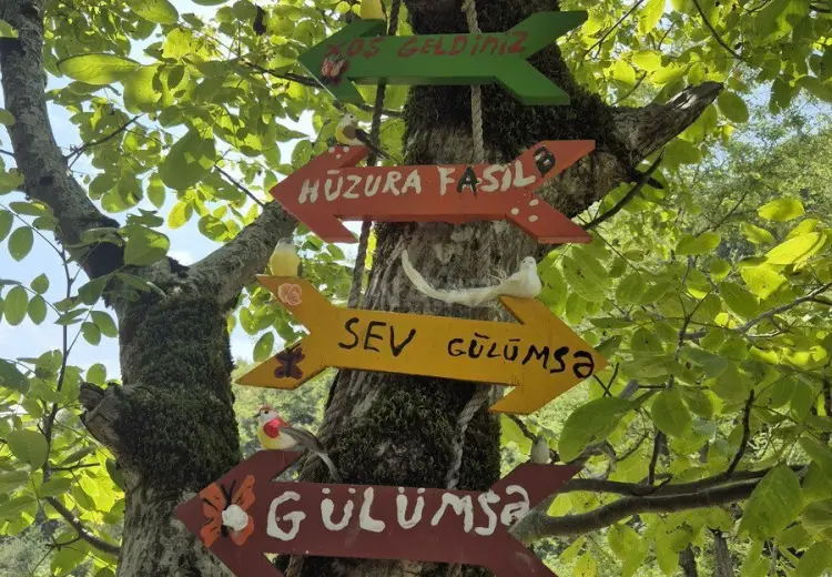 3 otaqlı mənzil Kirayə (günlük), İsmayıllı