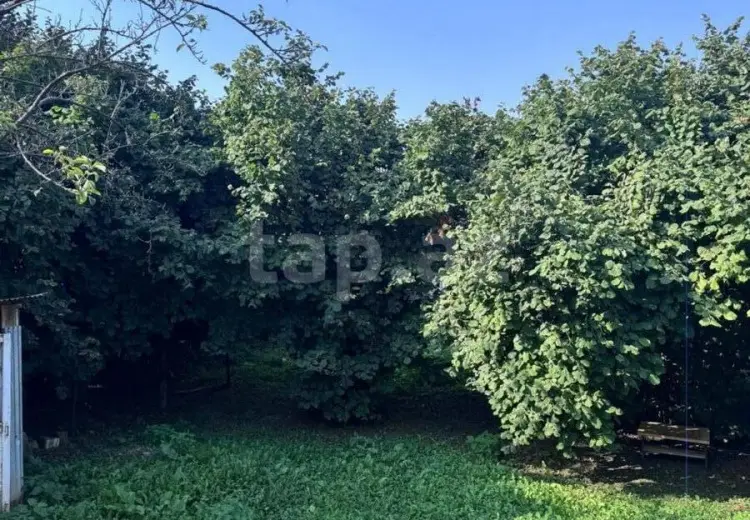 250 AZN - 2 otaqlı mənzil Kirayə (aylıq), Zaqatala