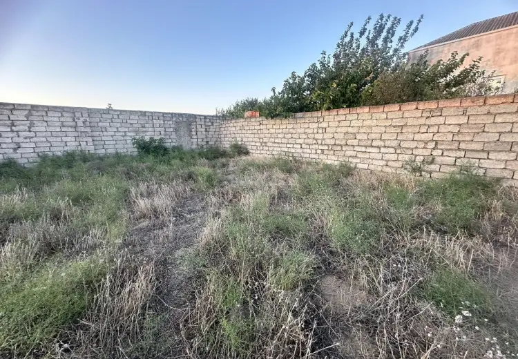6.5 sot Torpaq Satılır, Bilgəh qəs., Sabunçu, Bakı