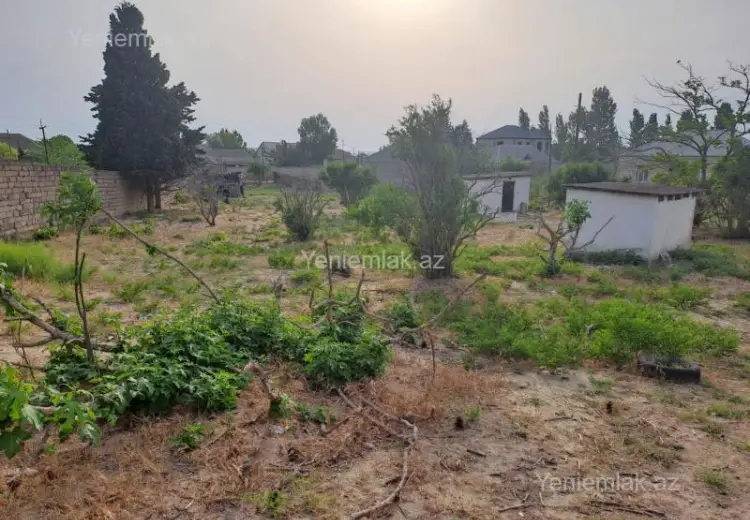 10 sot Torpaq Satılır, Saray, Abşeron