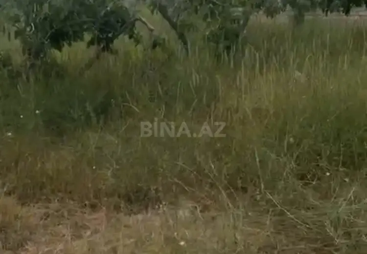 12 sot Torpaq Satılır, Nardaran qəs., Sabunçu, Bakı