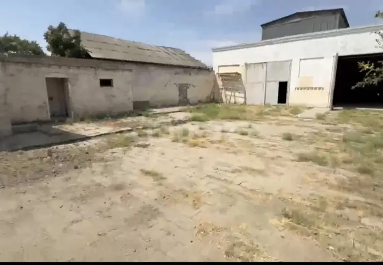 0 m² Obyekt / Ofis , Salyan