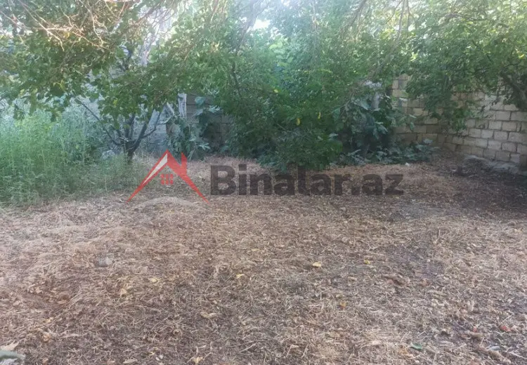 2 sot Torpaq Satılır, Sumqayıt