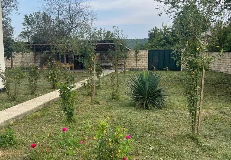 3 otaqlı mənzil Satılır, Qəbələ