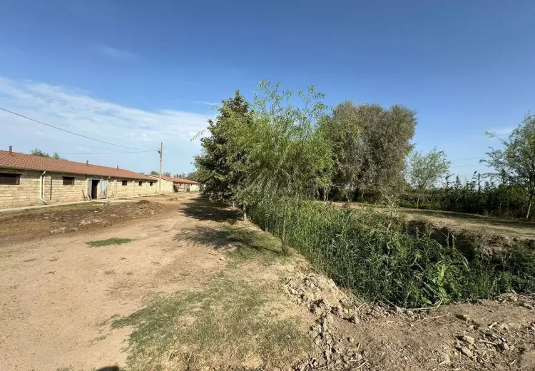 1000 sot Torpaq Satılır, Sabirabad