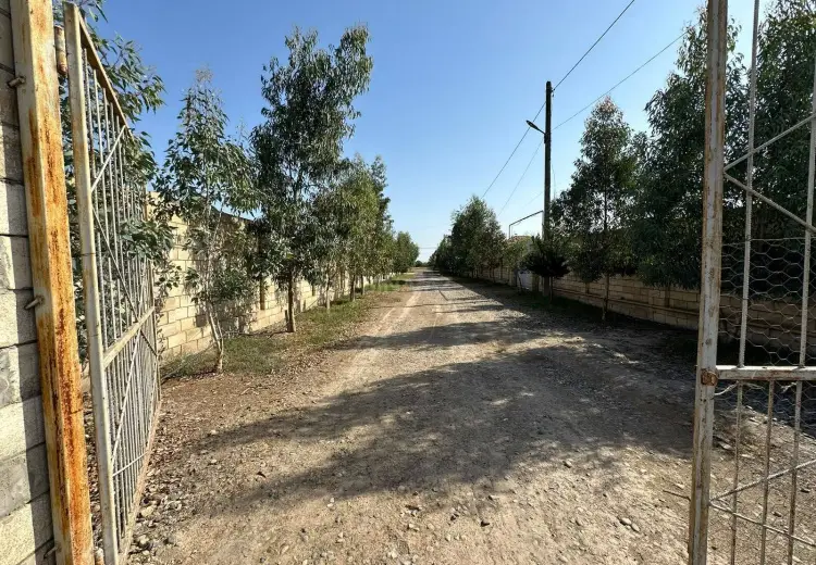 1000 sot Torpaq Satılır, Sabirabad
