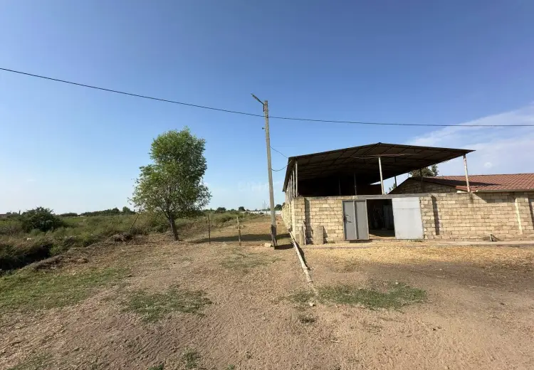 1000 sot Torpaq Satılır, Sabirabad