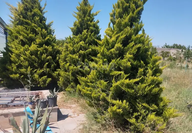 0 m² Obyekt / Ofis , Bilgəh qəs., Sabunçu, Bakı