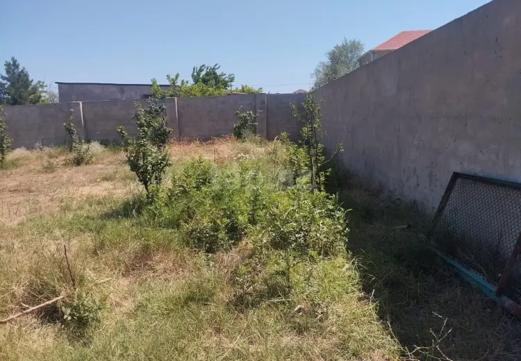 0 m² Obyekt / Ofis , Bilgəh qəs., Sabunçu, Bakı