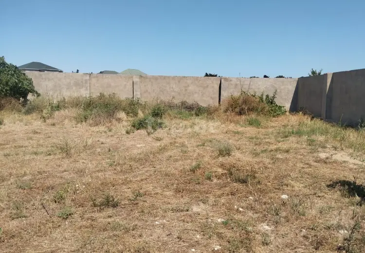 0 m² Obyekt / Ofis , Bilgəh qəs., Sabunçu, Bakı