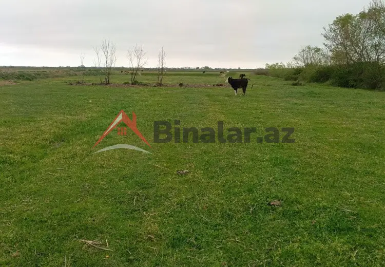 40 sot Torpaq Satılır, Xaçmaz