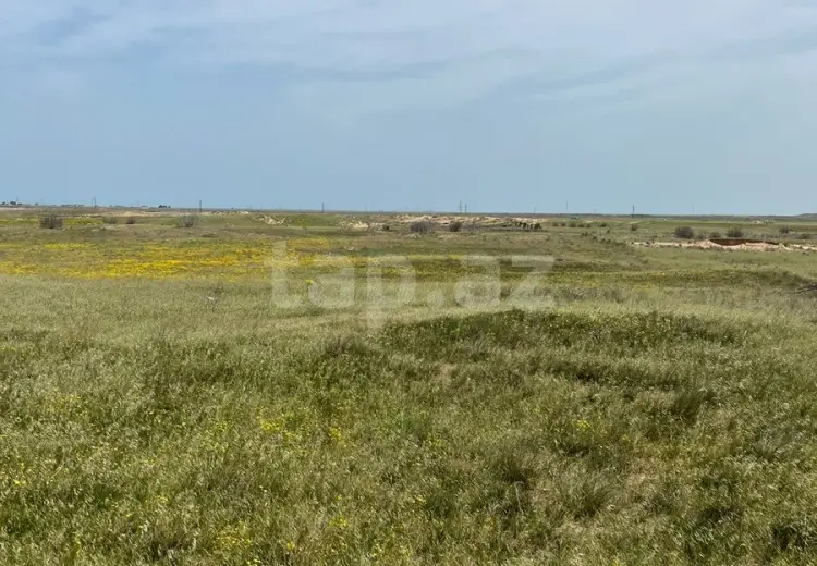 0 m² Obyekt / Ofis , Zirə, Xəzər, Bakı
