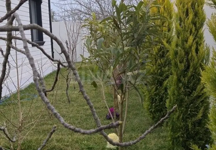 30 sot Torpaq Satılır, Buzovna, Xəzər, Bakı