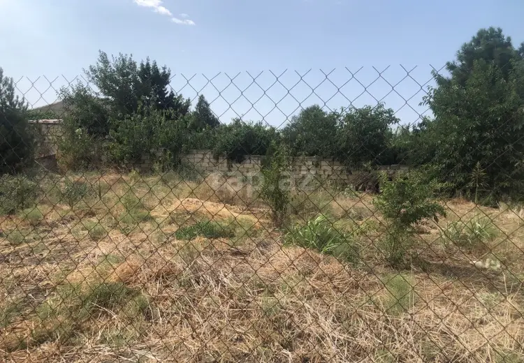 0 m² Obyekt / Ofis , Saray, Abşeron