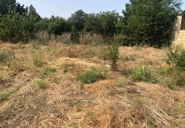 0 m² Obyekt / Ofis , Saray, Abşeron