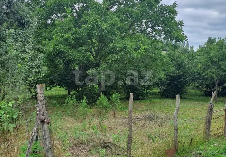 0 m² Obyekt / Ofis , Qusar