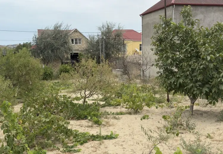 6 sot Torpaq Satılır, Saray, Abşeron
