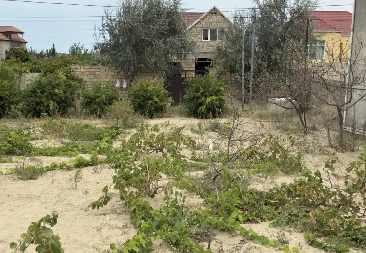 6 sot Torpaq Satılır, Saray, Abşeron