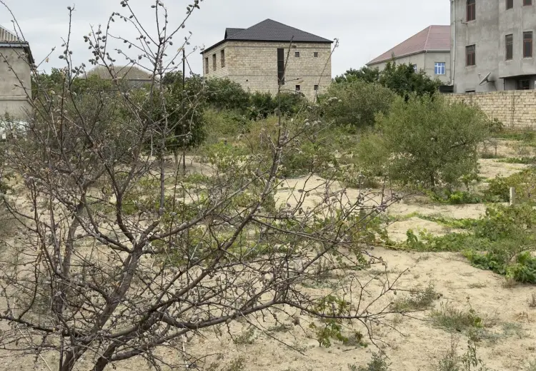 6 sot Torpaq Satılır, Saray, Abşeron