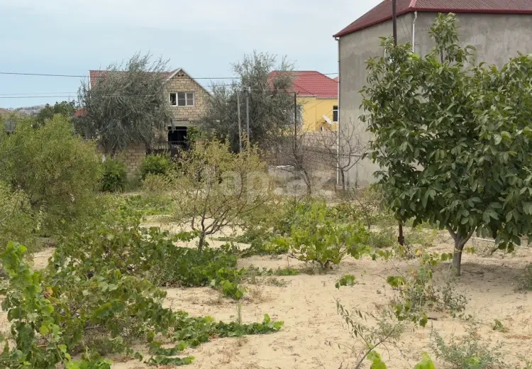 0 m² Obyekt / Ofis , Saray, Abşeron