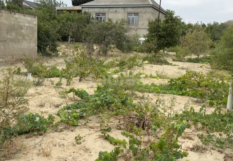 0 m² Obyekt / Ofis , Saray, Abşeron