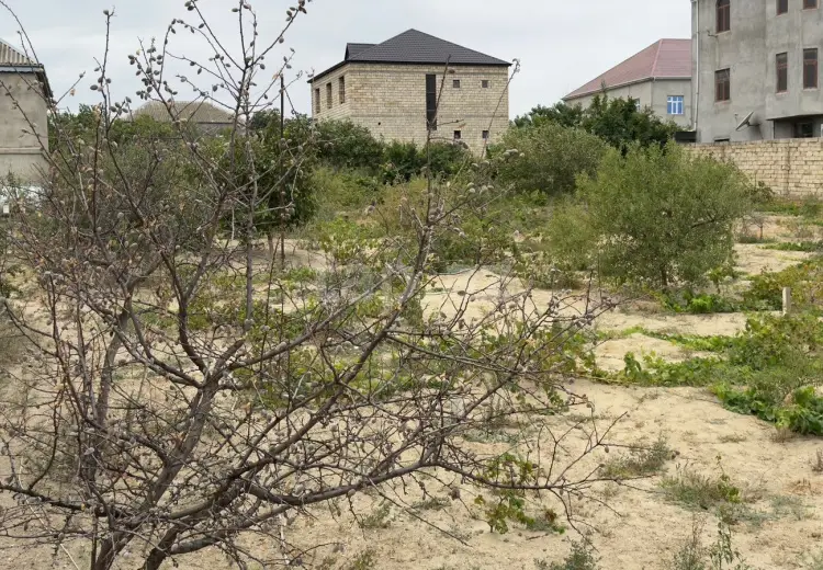0 m² Obyekt / Ofis , Saray, Abşeron