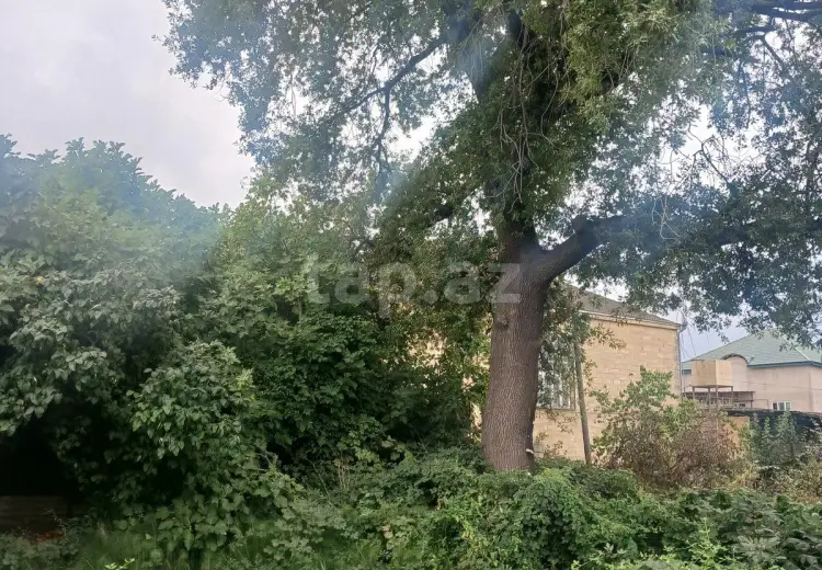 5 otaqlı mənzil , Xaçmaz
