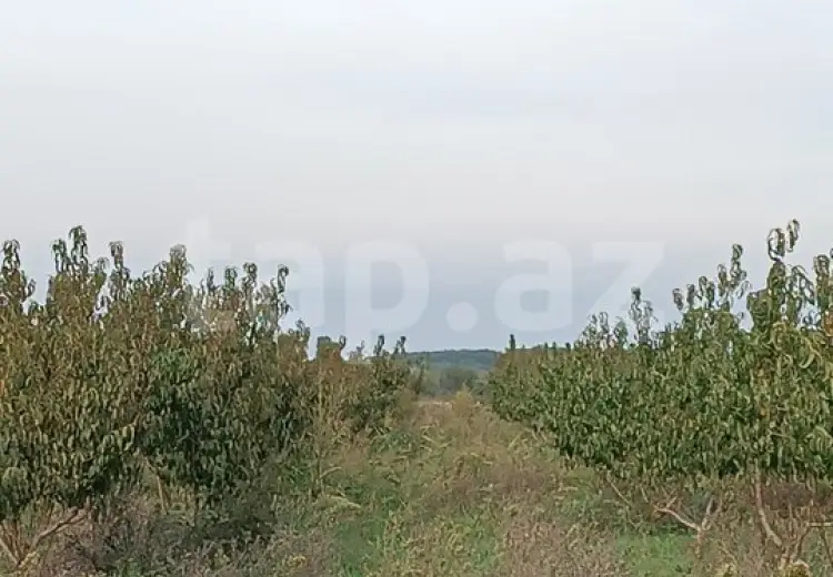 0 m² Obyekt / Ofis , Xudat