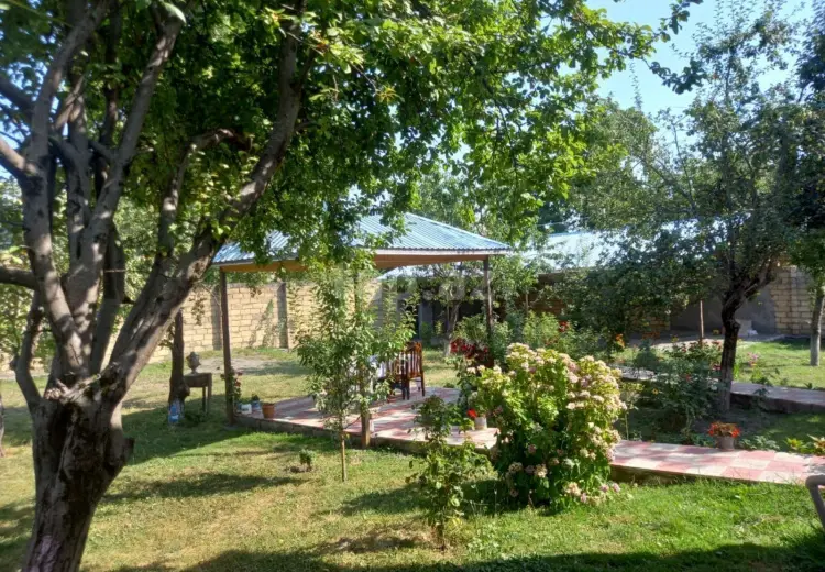 4 otaqlı mənzil Kirayə (günlük), Qəbələ