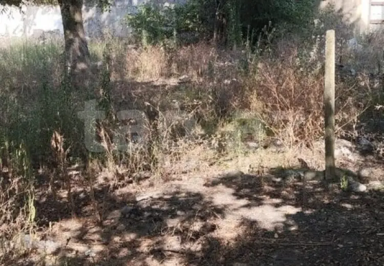 0 m² Obyekt / Ofis , Lənkəran
