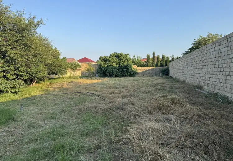 10 sot Torpaq Satılır, Novxanı, Abşeron