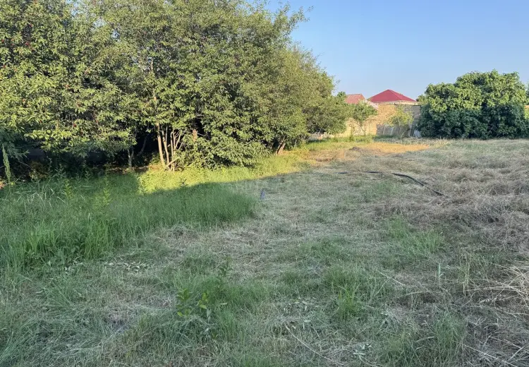 10 sot Torpaq Satılır, Novxanı, Abşeron