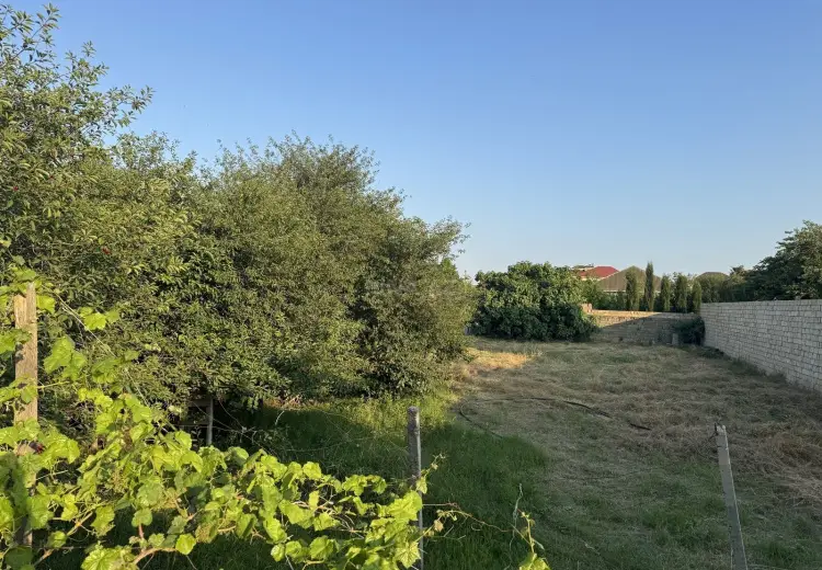 10 sot Torpaq Satılır, Novxanı, Abşeron