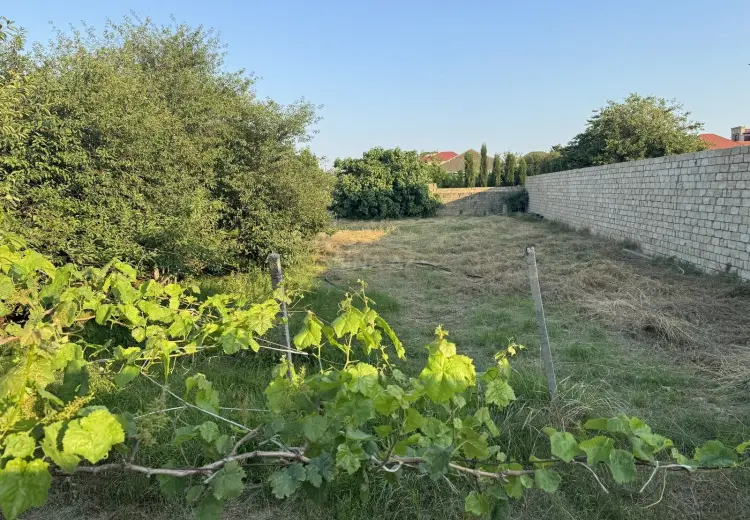 10 sot Torpaq Satılır, Novxanı, Abşeron