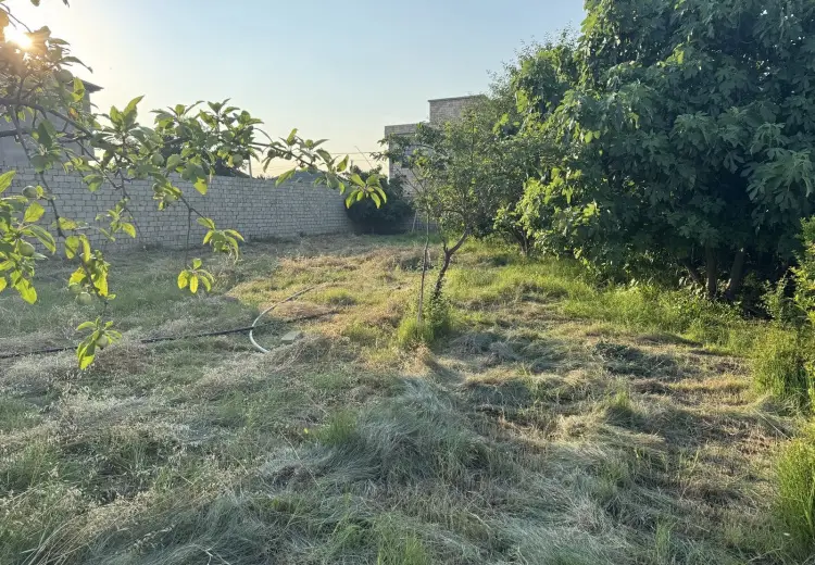 10 sot Torpaq Satılır, Novxanı, Abşeron