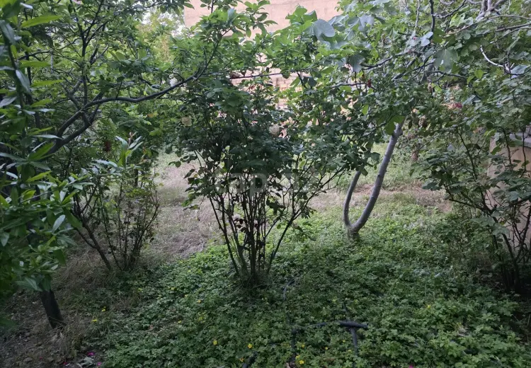 0 m² Obyekt / Ofis , Badamdar qəs., Səbail, Bakı