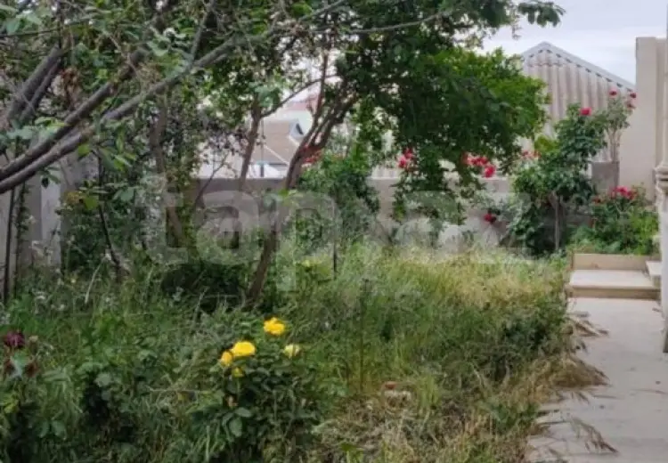 3 otaqlı mənzil , Bakı